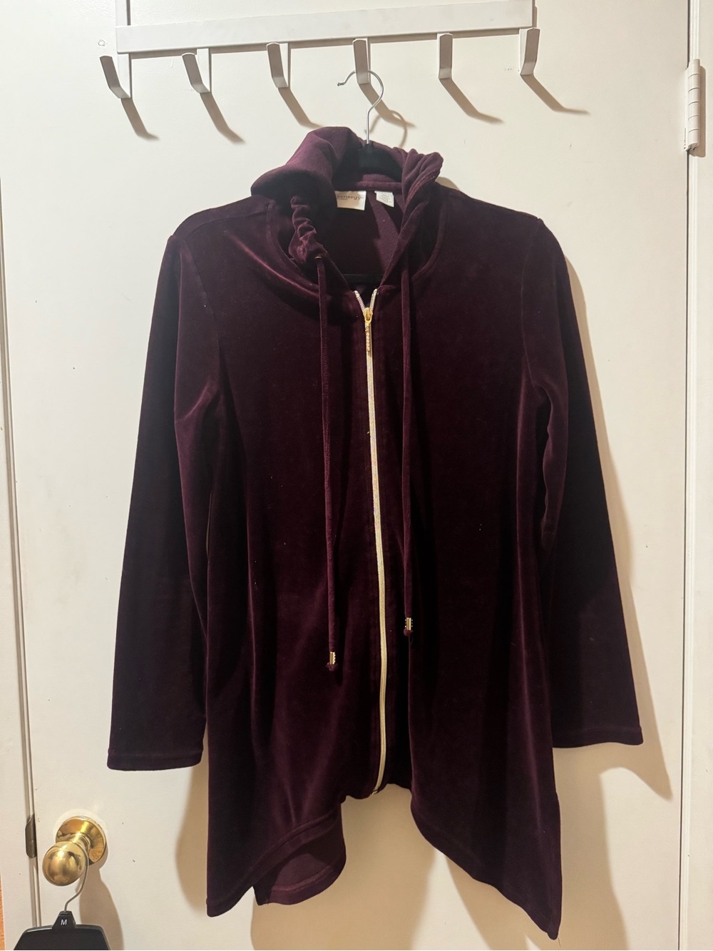Women's Velvet Zip-Front Hooded Jacket in Deep Plum. Size 1 (Medium)